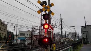 【東武野田線最初の踏切】北大宮 開かずの踏切 現地レポート前編【JR線とコラボ使用の踏切】