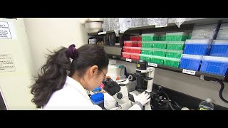 CDC tracks a potentially dangerous coronavirus variant