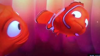 【Finding Nemo】ファインディング・ニモ