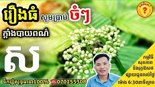 Best Medical plant 2022 កំពូលឱសថបុរាណខ្មែរ២០២២ អត្ថប្រយោជន៍របស់ដើមក្ដាំងបាយពណ៌ស