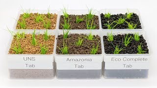 The Great Hairgrass Race: Does Dwarf Hairgrass Need Root Tabs?