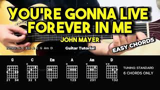 You're Gonna Live Forever In Me - John Mayer | Easy Guitar Tutorial For Beginners (CHORDS \u0026 LYRICS)