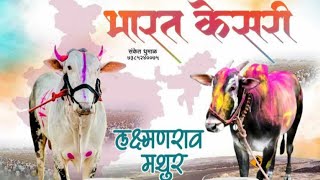 | 👑भारत केसरी चा मानकरी ठरला मथुर आणि लक्ष्मणराव | #mathur #bailgada #bharatkesarinews #vadki  #naad