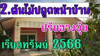 🪴ปรับฮวงจุ้ยรับเงิน!! เสริมดวง 2566 เสริมฮวงจุ้ยด้วยการปลูกต้นไม้ 2ต้นไม้ปลูกหน้าบ้าน