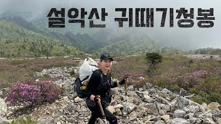 [Hiking] 강원 인제 설악산 등산 | 나홀로 봄비 맞으며 서북능선 타고 귀때기청봉에서 신선놀음 하고 왔어요🌸 | 남교리~한계령 코스 | 설악산 국립공원 | 산림청 100대명산