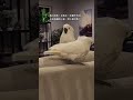 The confession failed and scared the person away. Parrot. Cute parrot. Funny parrot.