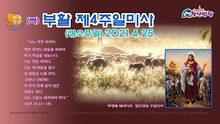 철산성당= 4월25일= 부활 제4주일 미사 (성소주일)