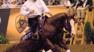 Gunners Special Nite - 2010 USEF Horse of the Year