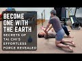 Secrets of Effortless Force Completely Revealed: Become One With the Earth with Tai Chi's Song