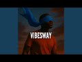 Vibesway