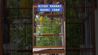 Rasmi iran gacor