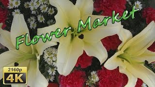 Pak Khlong Talat Flower Market in Bangkok - Thailand 4K Travel Channel