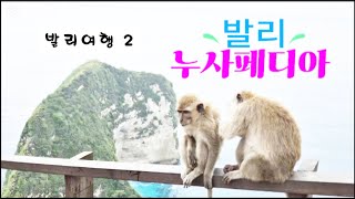 발리여행# 2  누사페디아 섬 여행