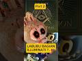 LABUBU ADALAH MASKOT FREEMASON? INI TEORI KONSPIRASI TENTANG LABUBU part 2 #shorts