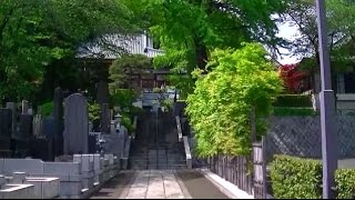 地福寺　埼玉県和光市白子2-18-1