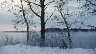 Ethel Cain - Sempervirens (Demo)