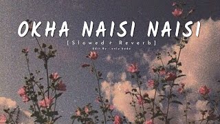 OKHA NAISI NAISI // new bodo song slowed x reverb bodo song // @onlybodo121