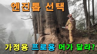 [4K] 엔진톱 선택 : 가정용 프로용?