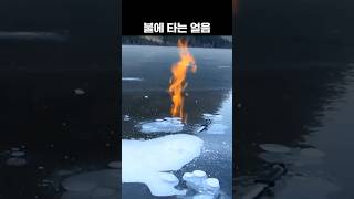 불에 타는 얼음