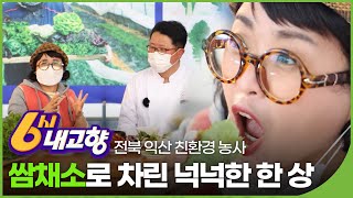 행복 한 쌈, 건강 두 쌈!🥬 쌈 채소 농장 - 전북 익산 | 6시 내고향 | 재미PLAY