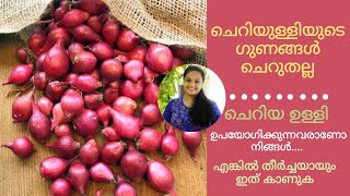 ചെറിയ ഉള്ളി ഗുണങ്ങളും ഉപയോഗരീതിയും|Benefits of Small Onion in Malayalam|Chuvanulli Benefits