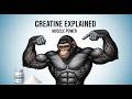 Creatine Explained by Ape Monkey Muscles | Supplement Full Guideline