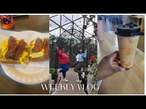 Weekly Vlog Youtube