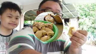 santai-santai sambil menikmati buah durian dan buat tempoyak gaiss