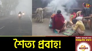 চলতি মাসেই আরো দুটি শৈত্য প্রবাহের পূর্বাভাস | Winter News Update 2021 | Bangla TV