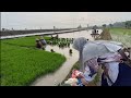 SUASANA PAGI HARI NOK SAWAH !!! NGIRIM WONG DAUD PEMIRSA