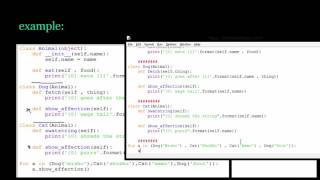 17 python polymorphism In Details