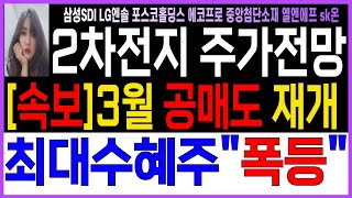 [2차전지 주가전망][금양 엔켐 LG엔솔 삼성SDI 에코프로 에코프로비엠 포스코퓨처엠 포스코홀딩스  엘앤에프 SK온 ]🧡긴급 새벽 美로이터 속보\