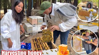 Ganto Pala Mag Harvest Ng Honey| From Bee Hives In Australia 😮