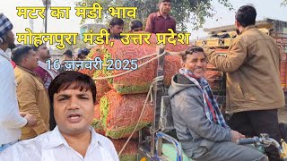 मटर का आज का मंडी भाव। मोहनपुरा मंडी उत्तर प्रदेश Matar Rate Today @rahulutkarshvlogs6865