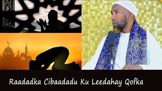 Khudbad Qiimo Badan || Raadadka Cibaadada Waxaa Ka Mid ah... || Sh Maxamed Haybe