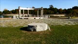 フェレット　雪ちゃん公園散歩（蜻蛉池公園）①