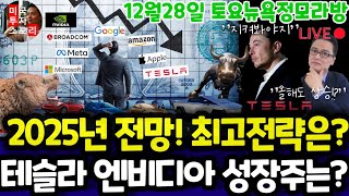 미국주식/2025년 전망! 최고 전략은?/비중공개와 종목분석/테슬라 엔비디아 구글 애플 아마존 메타 마이크로소프트 팔란티어 아이온큐 브로드컴 LLY 노보등 $tsla #tesla