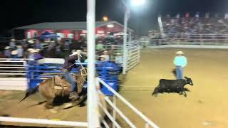 Ymcmb calf roping 2)