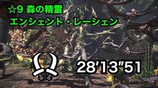 [MHW]  エンシェント・レーシェン　双剣ソロ 28'13\