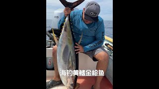 男人用二十斤的大魚做誘餌，成功釣到上百斤的黃鰭金槍魚 #海釣 #原來釣魚才是抖音運動頂流 #抖音釣魚人 #釣魚的樂趣只有釣魚人懂