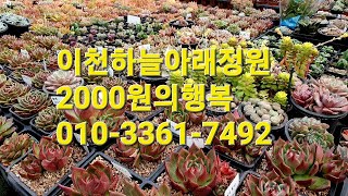 이천하늘아래정원 2000원의행복010-3361-7492