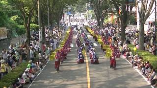 【公式】 鳳遙恋2018『千妖神樂』 彩夏祭2日目／公園通り北演舞場1回目