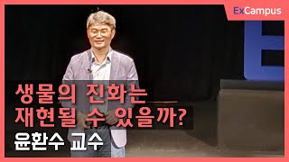 [ExCampus] 생물의 진화는 재현될 수 있을까?: 식물의 기원과 진화(성균관대학교 생명과학과 윤환수 교수)