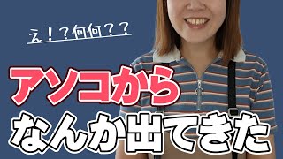 女子部屋【さおりのお部屋＃061】