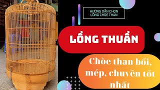 Lồng thuần chòe than bổi tốt nhất