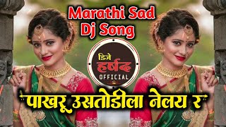 Tuzya Pinjryat Ala Pakharu Mii Us Todila Nay R Marathi Sad DJ Song | तुझ्या पिंजऱ्यात आलेल्या पाखरू