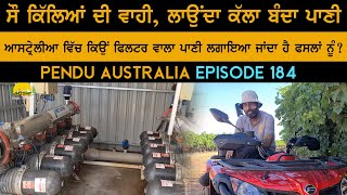 Why Filter Water to Crops | 100 Acre Farm | Mintu Brar | Pendu Australia-Episode 184 | Farming Vlog