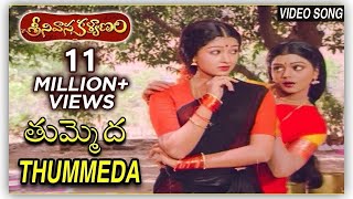 Tummeda Video Song | Super Hit Movie Srinivasa Kalyanam | Venkatesh | Bhanupriya | Gowthami