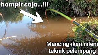 umpan ikan nilem paling gacor,mancing ikan nilem harian