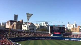 2015/3/17 阪神vs横浜 オープン戦「チャンス牙」